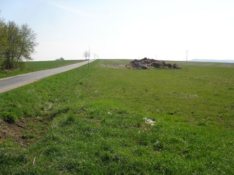Foto 36